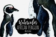 Cute Watercolor Penguin Illustration, an Animal Illustration by ClipartBrat Graphics (Thumbnail 1 of 3)