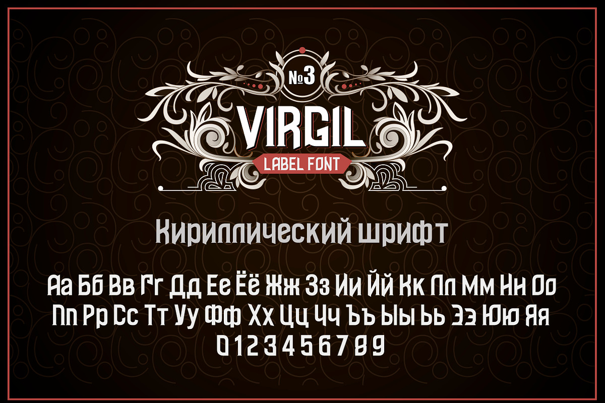 Vintage otf font Virgil, a Symbol Font by Fractal fonts & graphics (Photo 3 of 3)