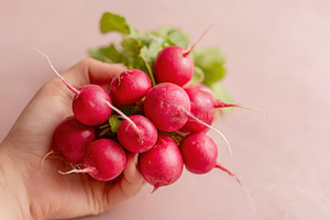 Fresh radishes held in hand against pink background, a Food & Drink Photo by AlyaAnd