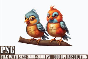 Funny Bird PNG Clipart Bundle