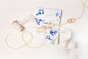 Forget-me-not watercolor, an Illustration by Olga Koelsch (Thumbnail 2 of 7)