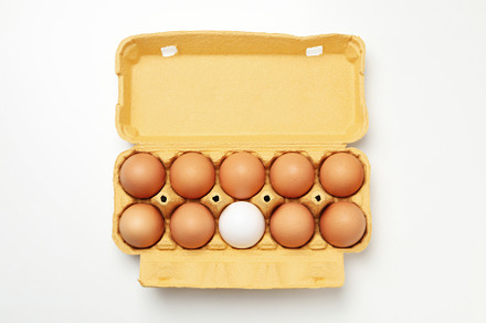 Egg box with eggs on white background, top view, a Food & Drink Photo by AtlasStudio PRO