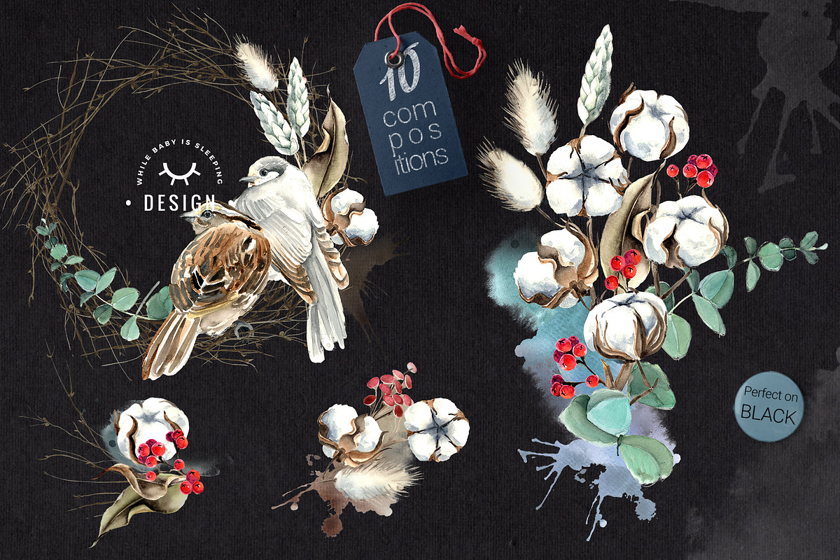 Birds and  Cotton Watercolor Set, an Illustration by WBS Design (Photo 2 of 9)