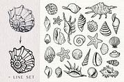 Sea Shells Collection, a Food Illustration by Aquatinta (Thumbnail 7 of 9)