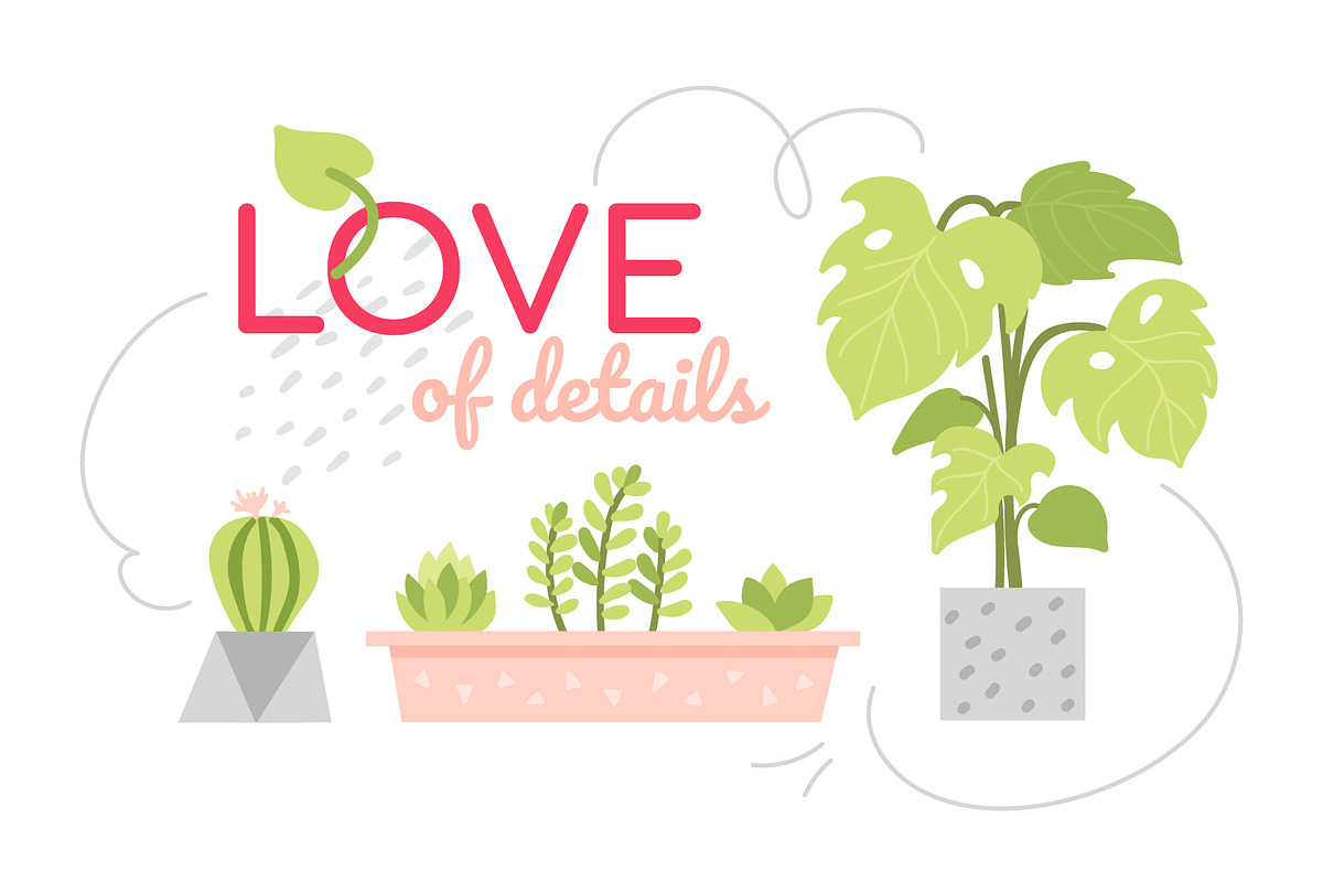 Potted Plants Bundle, a Templates & Theme by Boyko Pictures (Photo 6 of 12)