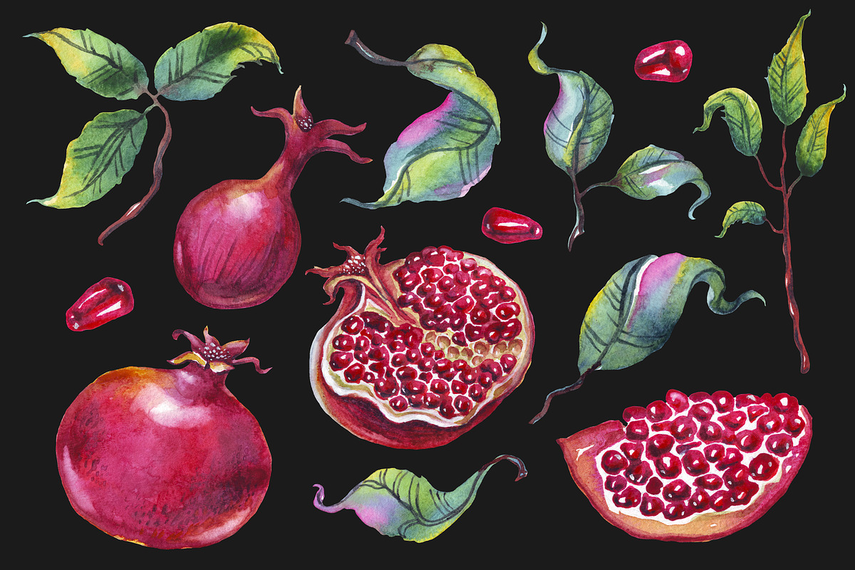 Watercolor pomegranates png clipart, an Illustration by Alena Kurian (Photo 3 of 4)