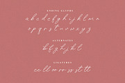 Richford Signature Script Font, a Script Font by Heinzel Std (Thumbnail 19 of 19)