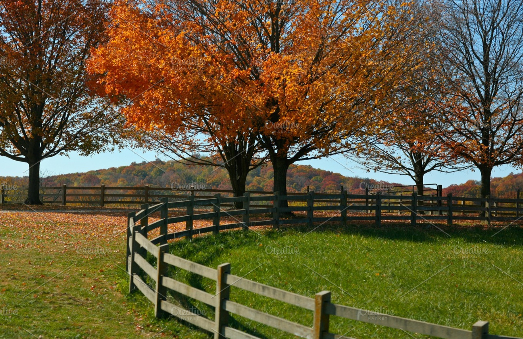 Missouri, a Nature Photo by Mr Geoff