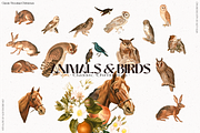 Victorian Classic Christmas, an Animal Illustration by nadispasibenko (Thumbnail 12 of 20)