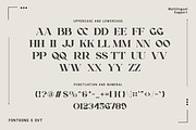Florence - Classy Serif Font, a Serif Font by overlaytemplates (Thumbnail 4 of 5)