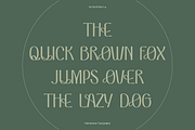 VEN - Display Typeface, a Font by Dat Do (Thumbnail 18 of 25)