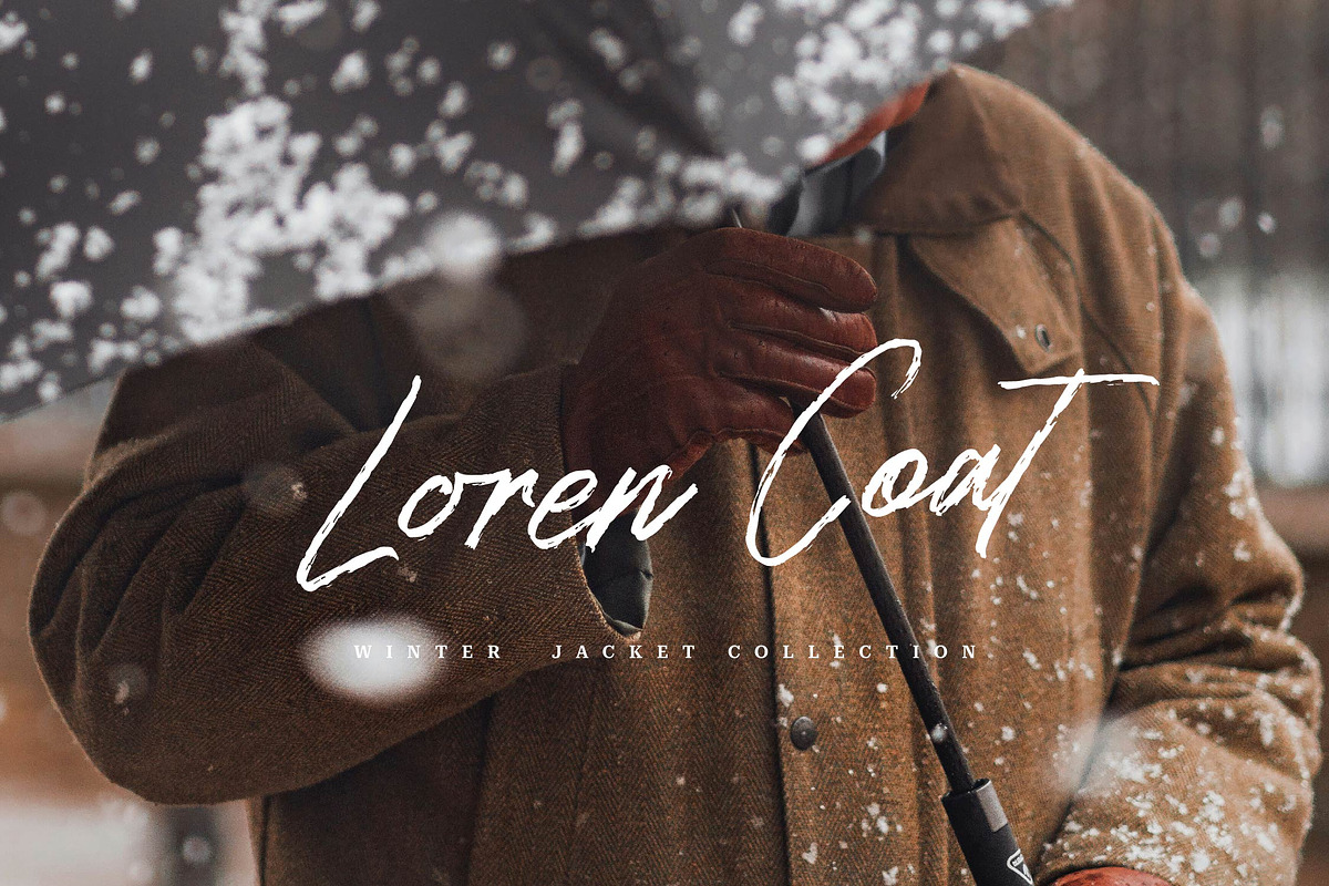 Leneora Seraphine Brush Handwritten, a Script Font by Denustudios (Photo 2 of 15)