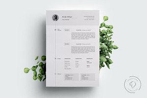 Resume And Cover Letter - 5 Pages