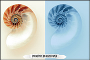 Authentic Cyanotype LUTs, a Plug-in Add-On by Raztrend (Thumbnail 26 of 32)