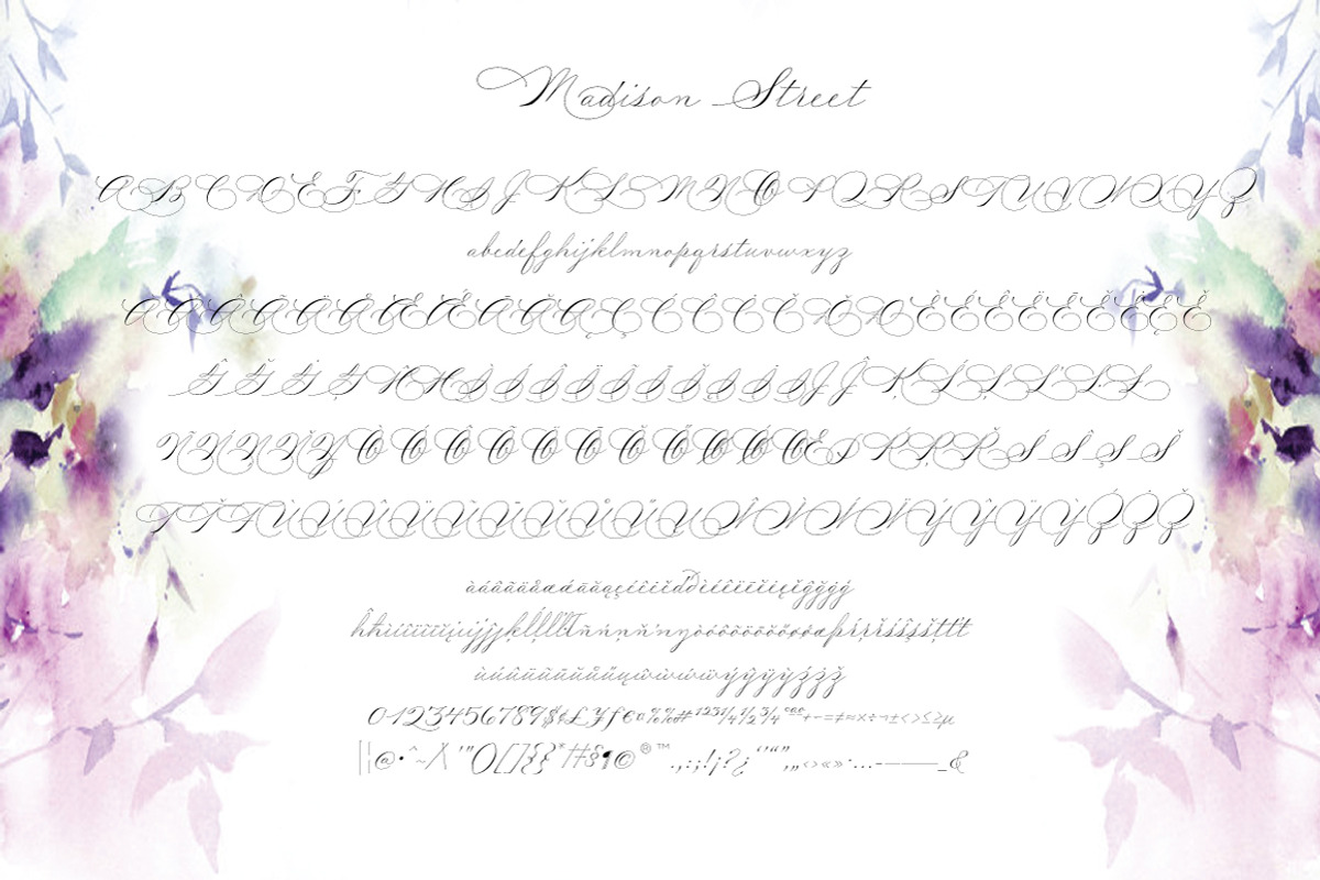 Madison Street Pro + Ornaments, a Script Font by STUDIOWAYS (Photo 2 of 4)