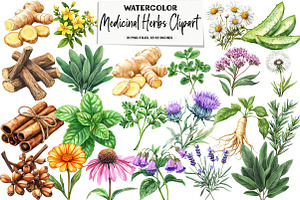 Medicinal Herbs Clipart, an Illustration by DreamArtGraphic
