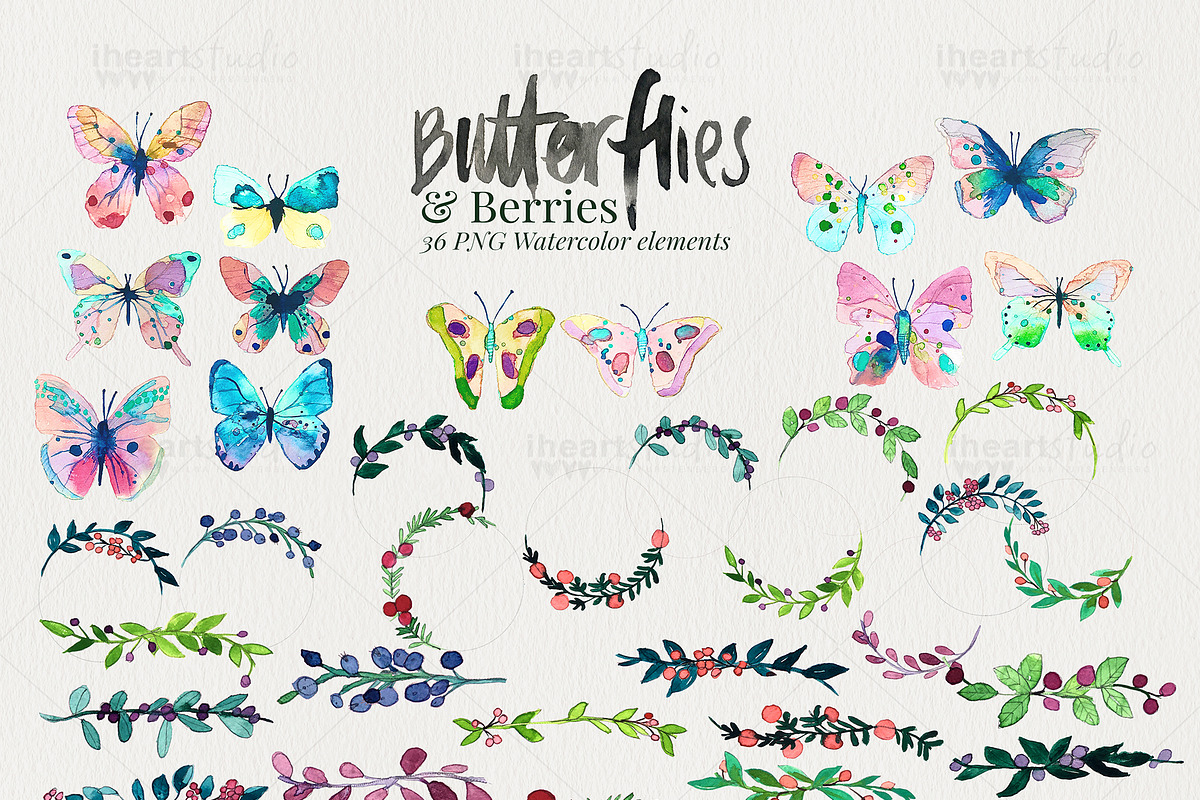 Butterflies & Berries Watercolors, an Illustration by iHeartStudio (Photo 3 of 4)