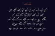 Erlinka Hillary - Signature Font, a Script Font by Letterhend Studio (Thumbnail 8 of 10)