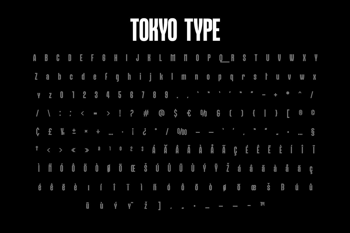Tokyo Type, a Sans Serif Font by Foxtype (Photo 6 of 6)