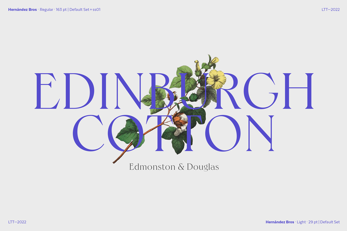 Hernandez Bros, a Serif Font by Latinotype (Photo 11 of 15)