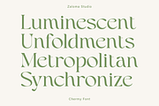 Chermy, a Serif Font by Zaloma Studio (Thumbnail 3 of 17)