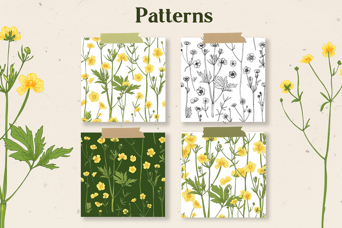 Flowers Buttercup. Sketch flowers, an Illustration by irina.vaneeva (Photo 4 of 6)