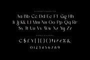Diore Bonneg -Aesthetic Display Font, a Sans Serif Font by Fype Co. (Thumbnail 5 of 5)