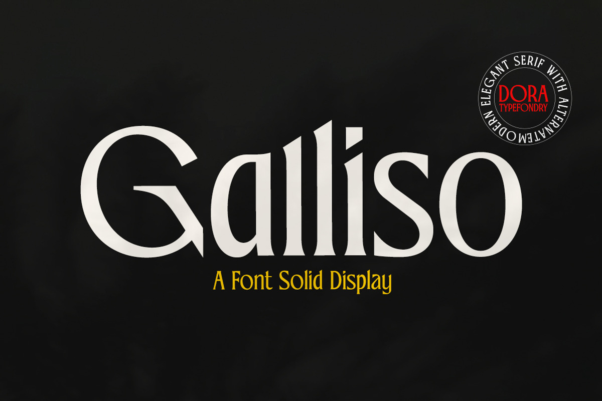 Galliso, a Serif Font by Dora Typefoundry (Photo 17 of 17)