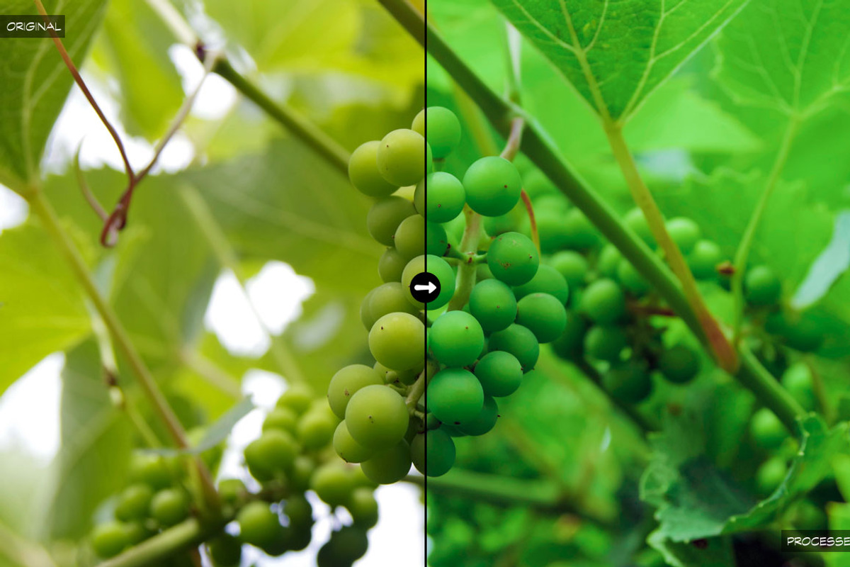 20 Food Lightroom Presets preview 2
