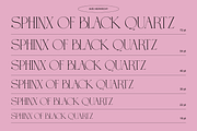 Groya - Modern Elegant Serif, a Serif Font by Nirmana Visual (Thumbnail 6 of 6)