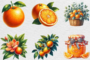 Watercolor Oranges Clipart, an Illustration by Black Bird Studio (Thumbnail 2 of 6)