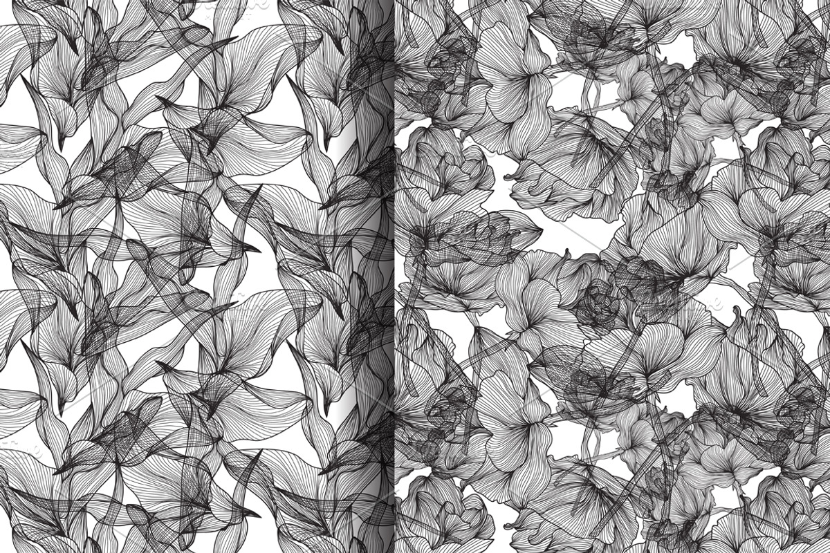 Black and White Floral Patterns(1) preview 3