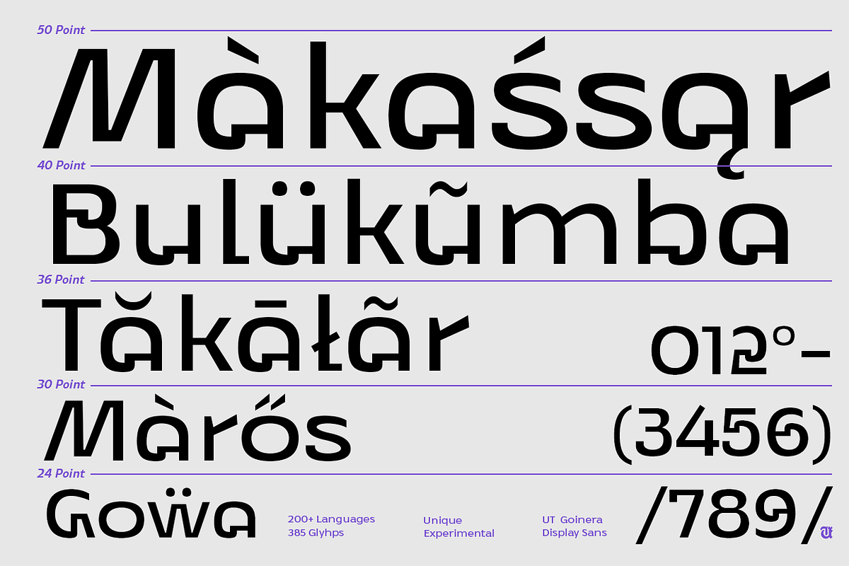 UT Goinera - A Unique Display Sans, a Sans Serif Font by Universitype (Photo 2 of 14)