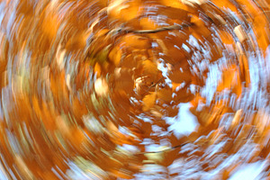 Twist of autumn's leaves stock photo containing abstract and autumn