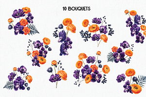 Solseta Floral Illustration Bundle