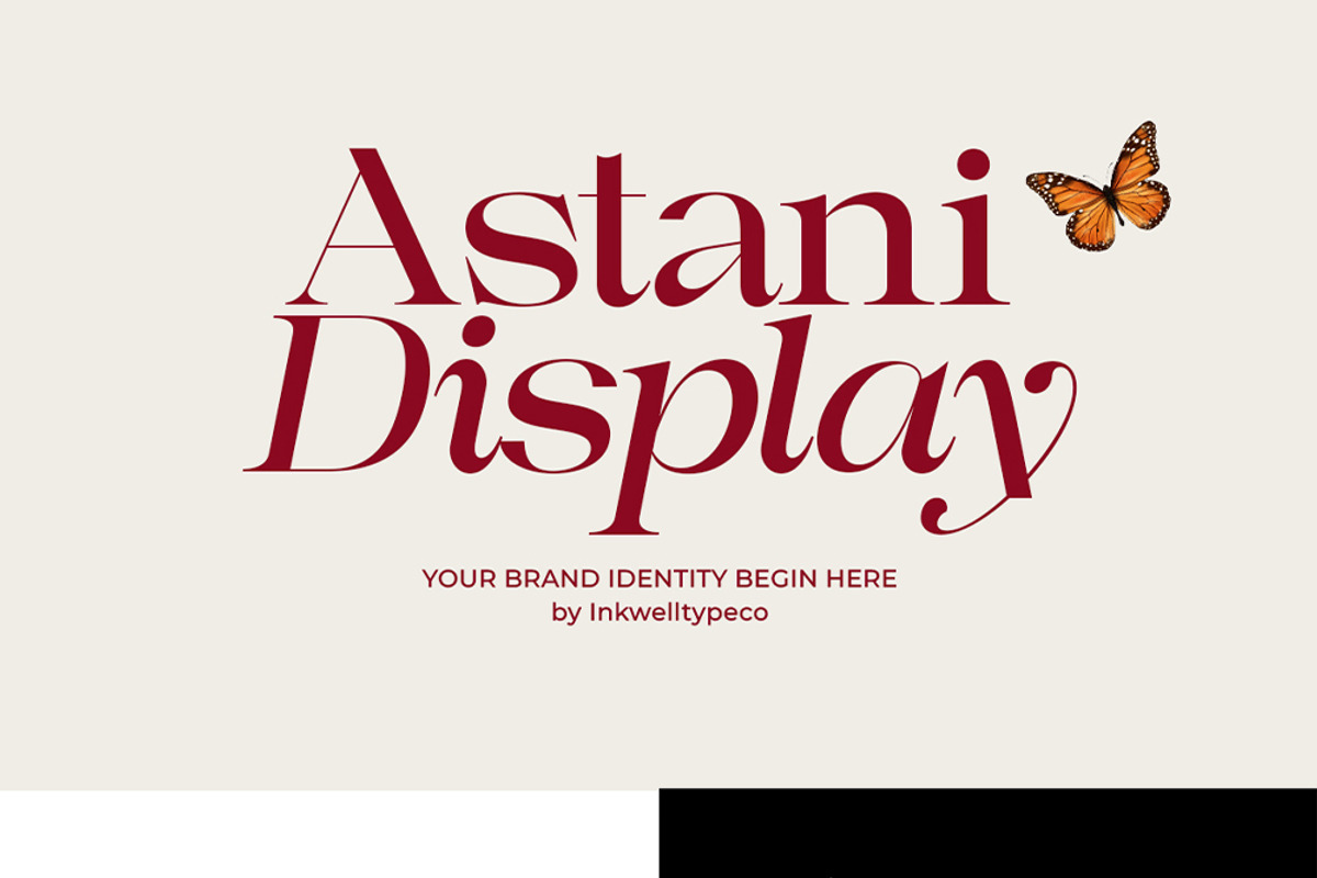 Astani Display, a Serif Font by InkwellTypeCo (Photo 12 of 17)