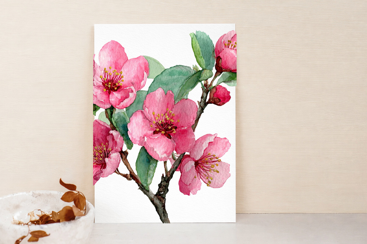 Cherry Blossom Watercolor Clip Art, an Illustration by Libby Wishes (Photo 4 of 7)