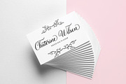 Lady Angelina Script, a Script Font by Megatype (Thumbnail 8 of 9)