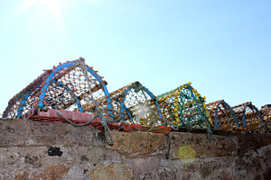 Lobster Trap, Lobster Pot