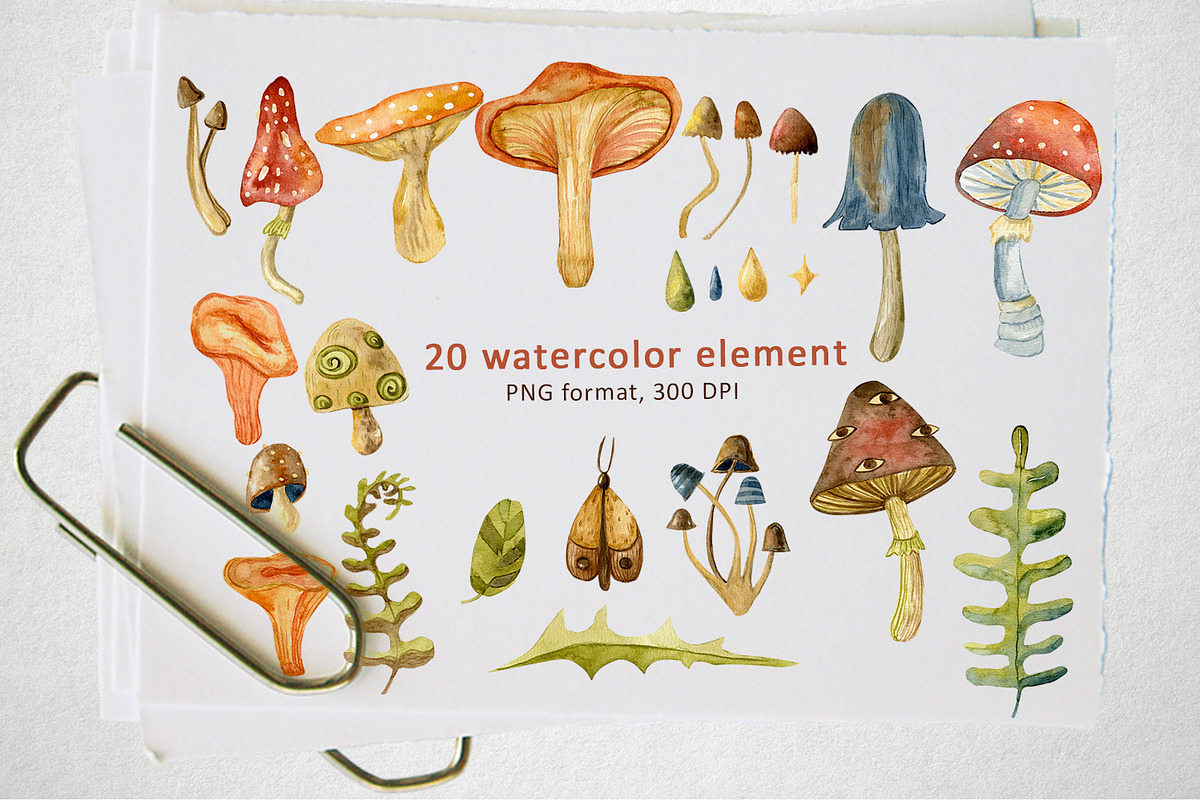 Watercolor Mushrooms, an Illustration by annasokol_ (Photo 2 of 7)