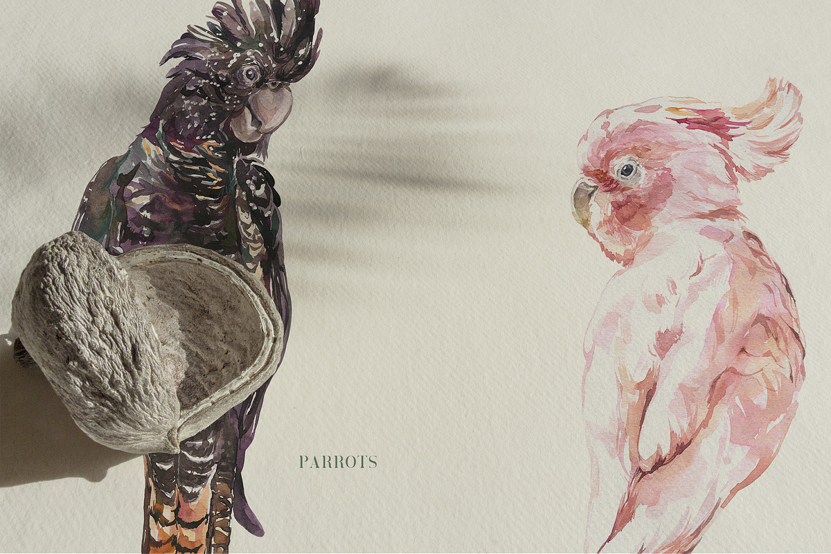 Tropical Jungle Floral Watercolor, an Illustration by Cat In Colour (Photo 4 of 8)