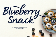 Blueberry snack, a Handwritten Font by cocodesign (Thumbnail 1 of 6)