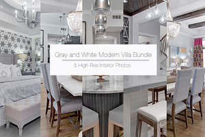 Gray and White Modern Villa Bundle