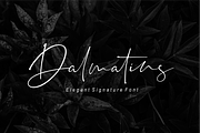 Dalmatins // Elegant Signature Font, a Script Font by Sronstudio (Thumbnail 1 of 14)
