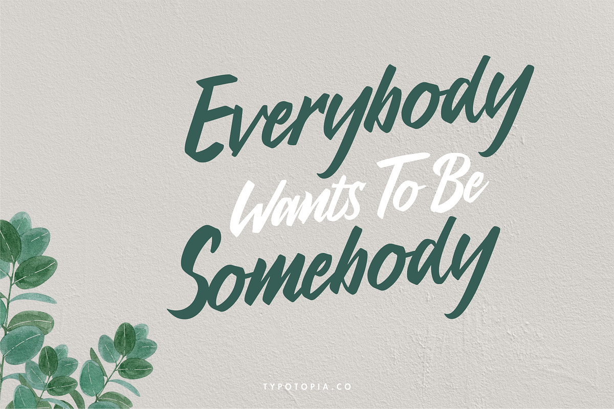 Antoine, a Script Font by edukka (Photo 7 of 8)