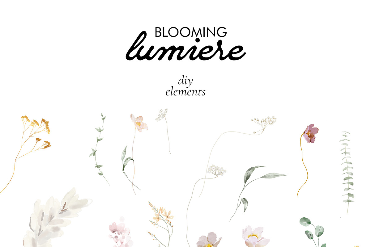 Lumiere - Rose & Cream Florals, an Illustration by Isabelle Salem (Photo 3 of 15)