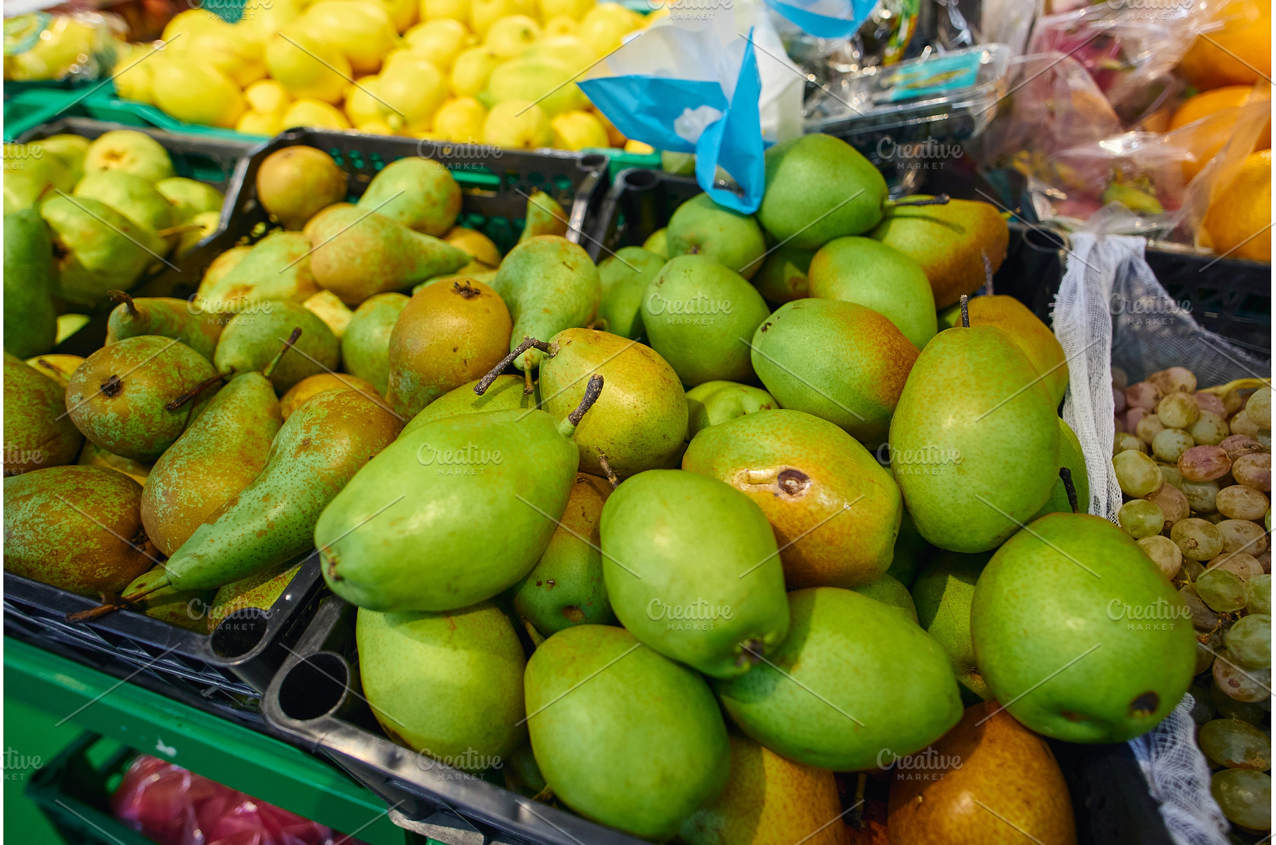 Bright green and yellow pears are, a Food & Drink Photo by darksoul72