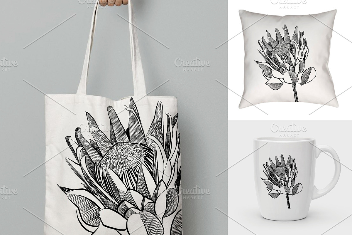 Protea Illustration Vector, an Illustration by Pretty Please Lara (Photo 1 of 6)