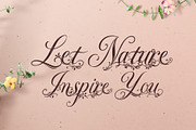 Ornavelle - Bloom Beautifully, a Script Font by HypeWorksCo (Thumbnail 8 of 22)