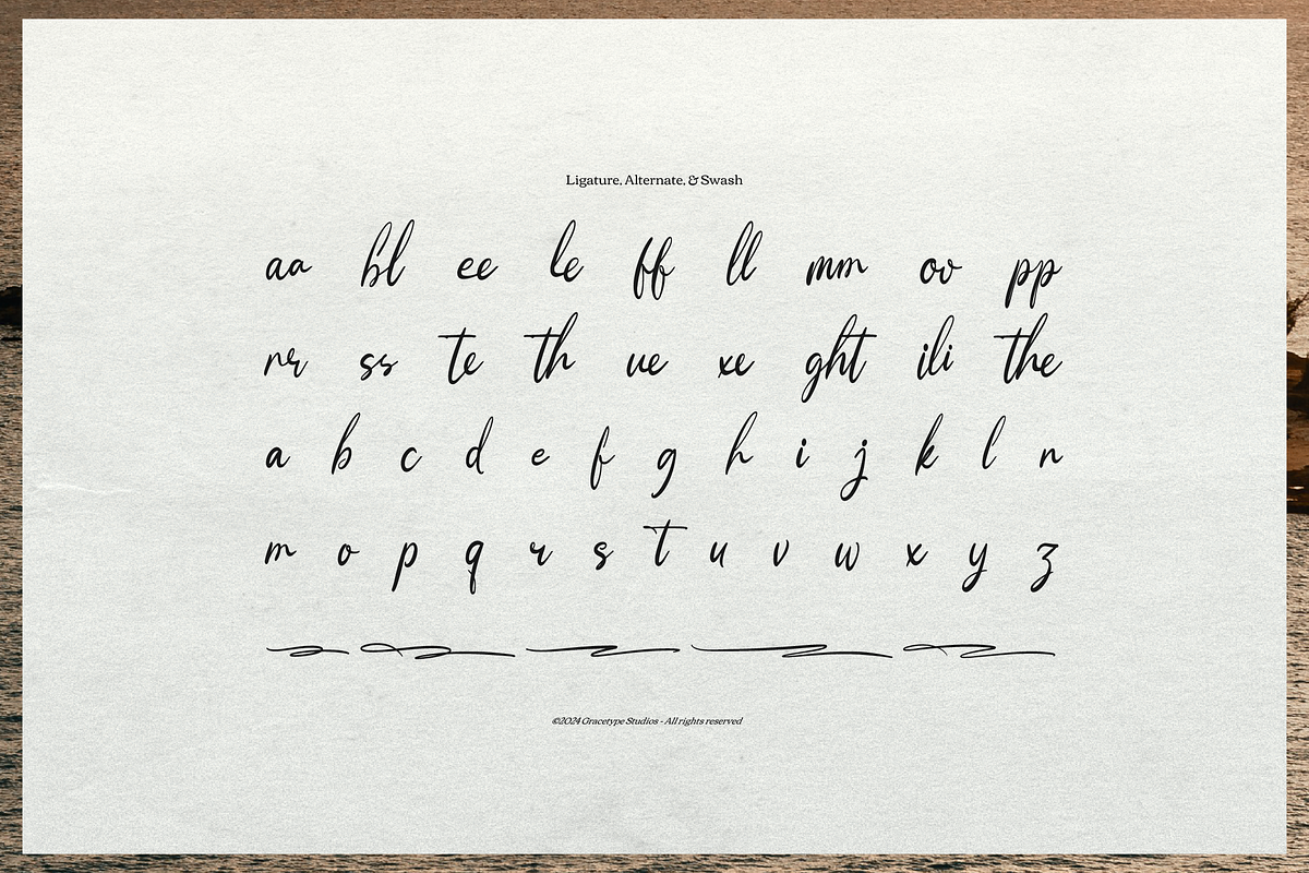 Moonlit Muse Handwritten Script Font, a Script Font by gracetype_studio (Photo 12 of 12)